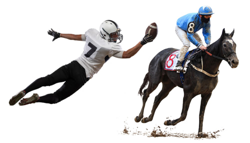 American Football player and race horse