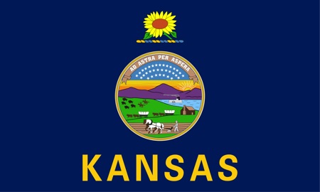 Kansas state flag